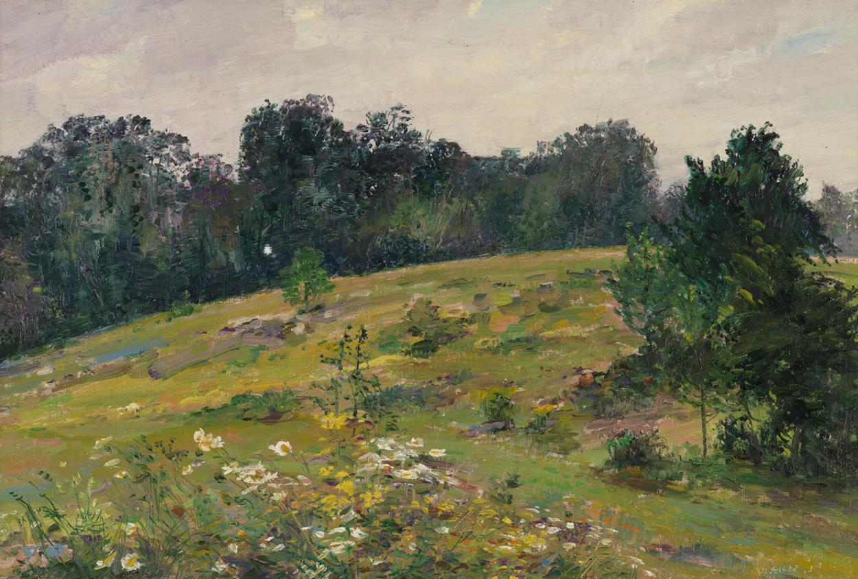 Untitled [Landscape with white and yellow wild flowers]