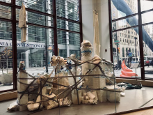 Rhona Hofmeyr's installation in the Broad Street Studio